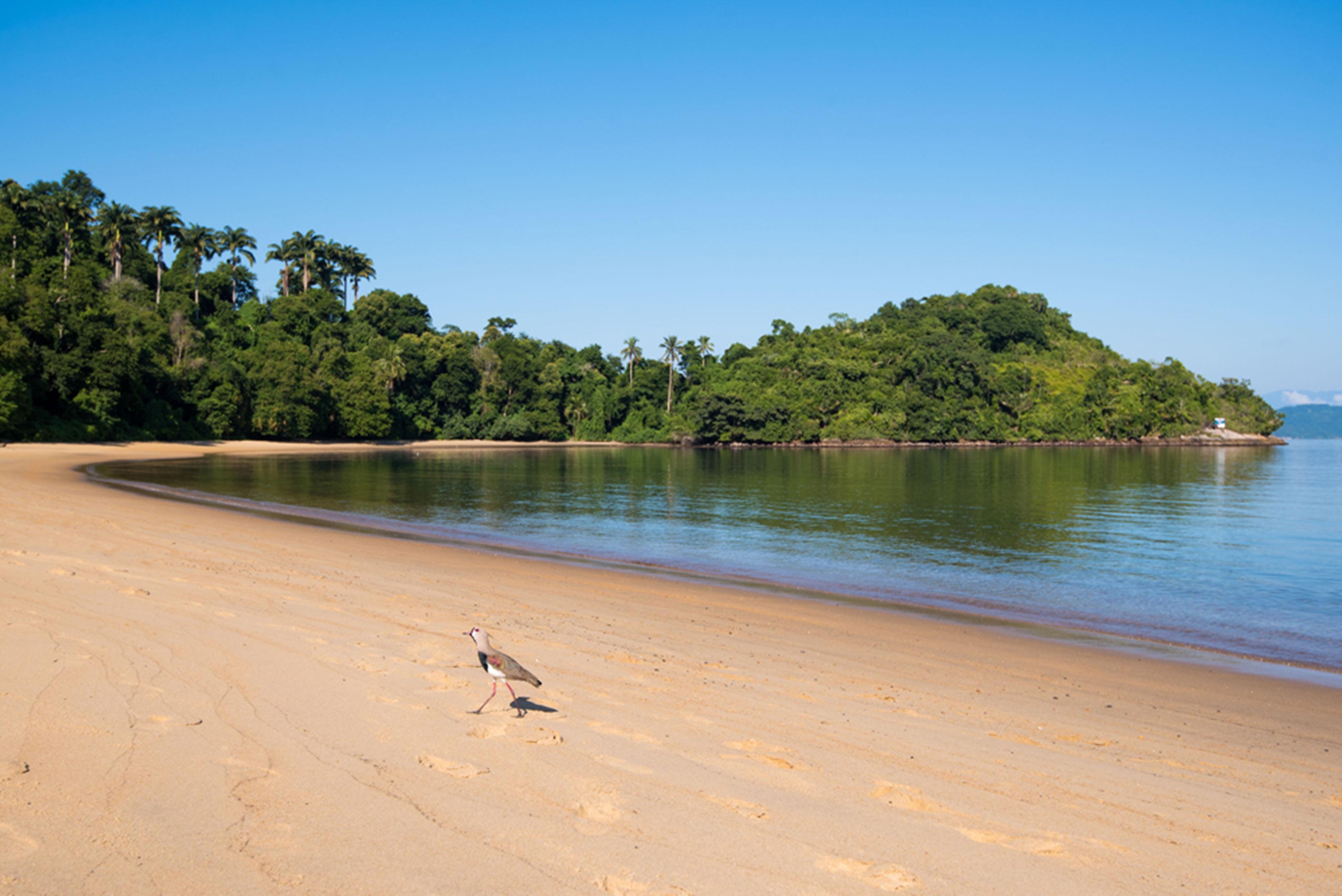 Vila Gale Eco Resort Angra Angra dos Reis Luaran gambar Beach at the park